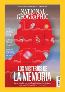 LOS MISTERIOS DE LA MEMORIA KYM